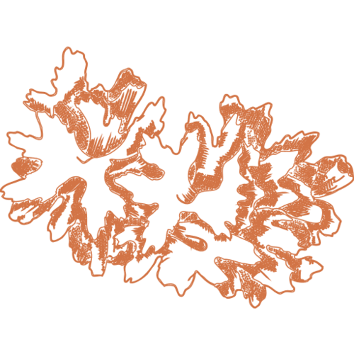 Tremella